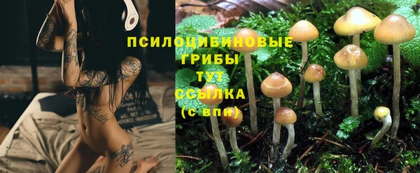 a pvp Карталы