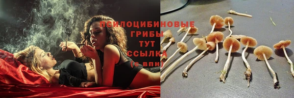 амфетамин Карпинск