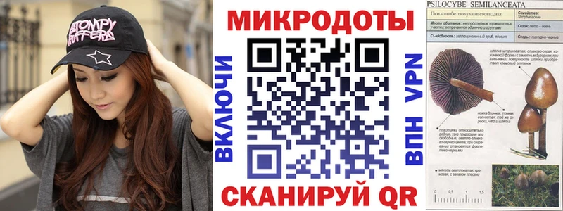 Галлюциногенные грибы Psilocybe  Купить где  Зуевка 